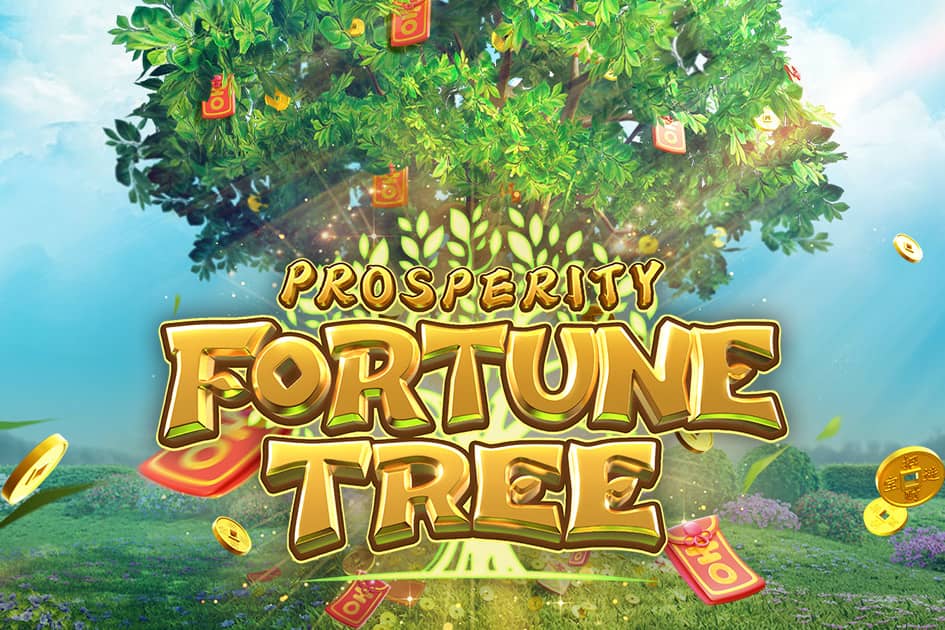 รีวิว Prosperity Fortune Tree